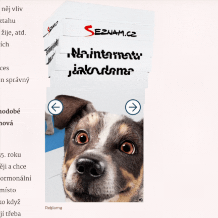 Reklama Seznam.cz se psem a heslem „Na internetu jako doma“ se vedle článku pořád přetáčí a nezmizí ani při posouvání stránky